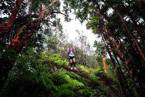 BIB: 
                            <button type="button" onclick="openModal(26201932)" class="btn btn-primary btn-sm float-right btn-popup" data-toggle="modal" data-target=".modal-high-quality">
                        <i class="fas fa-shopping-cart"></i> Add to Cart
                    </button>
                                            <button type="button" onclick="isThisMe(26201932, true)" class="btn btn-success btn-sm float-right btn-popup btn-isme hidden" data-toggle="tooltip" data-placement="bottom" title="นี่คือรูปของคุณใช่ไหม คลิกที่นี่เพื่อเอาเข้าอัลบั้ม">
                        <i class="fas fa-plus"></i> Add to album
                    </button>
                    <button type="button" onclick="isThisMe(26201932, false)" class="btn btn-warning btn-sm float-right btn-popup btn-isnotme hidden">
                        <i class="fas fa-ban"></i> Remove from album
                    </button>